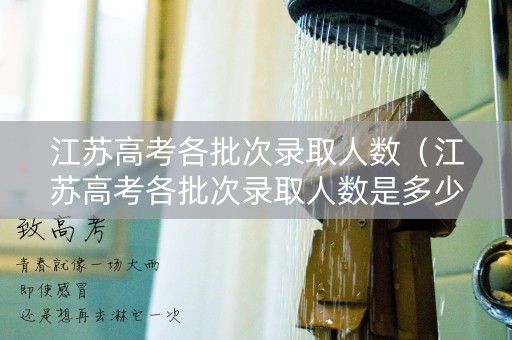 江苏高考各批次录取人数（江苏高考各批次录取人数是多少）
