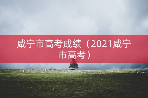 咸宁市高考成绩（2021咸宁市高考）