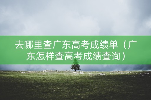 去哪里查广东高考成绩单（广东怎样查高考成绩查询）
