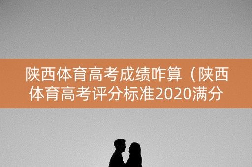 陕西体育高考成绩咋算（陕西体育高考评分标准2020满分）
