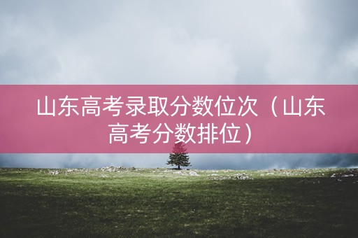 山东高考录取分数位次（山东高考分数排位）