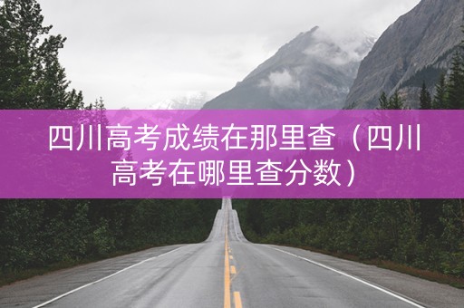 四川高考成绩在那里查（四川高考在哪里查分数）