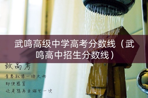 武鸣高级中学高考分数线（武鸣高中招生分数线）