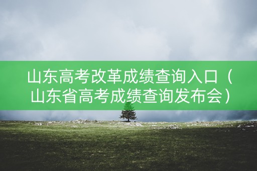 山东高考改革成绩查询入口（山东省高考成绩查询发布会）