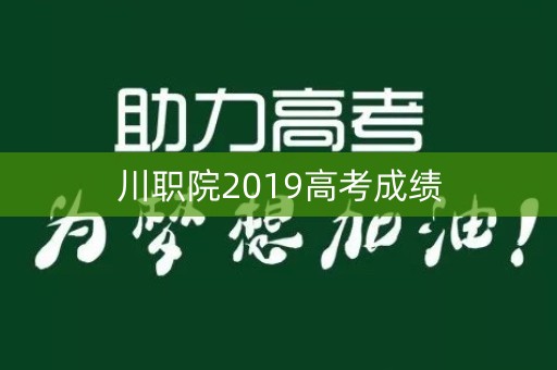 川职院2019高考成绩