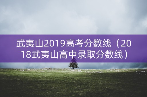 武夷山2019高考分数线（2018武夷山高中录取分数线）