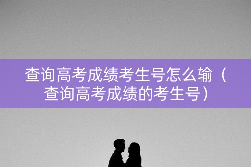 查询高考成绩考生号怎么输（查询高考成绩的考生号）