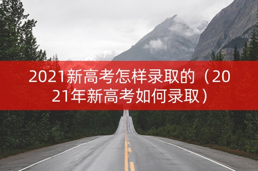 2021新高考怎样录取的（2021年新高考如何录取）