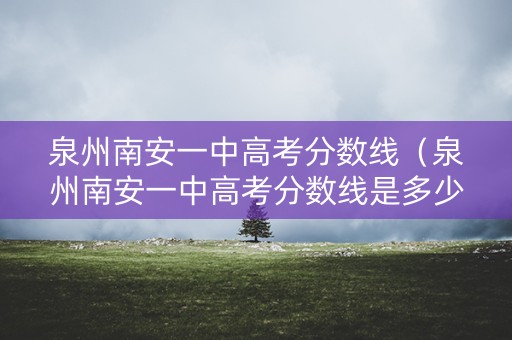 泉州南安一中高考分数线（泉州南安一中高考分数线是多少）