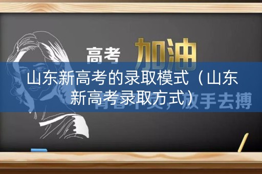 山东新高考的录取模式（山东新高考录取方式）