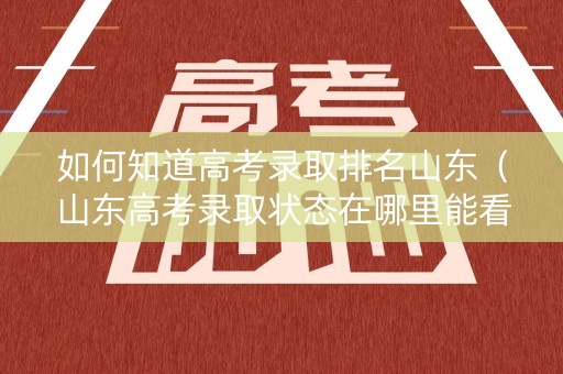 如何知道高考录取排名山东（山东高考录取状态在哪里能看到）