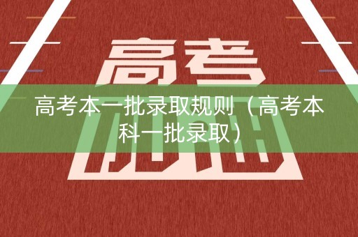 高考本一批录取规则（高考本科一批录取）