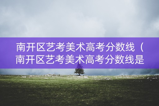 南开区艺考美术高考分数线（南开区艺考美术高考分数线是多少）