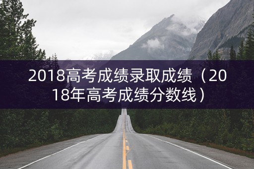 2018高考成绩录取成绩（2018年高考成绩分数线）