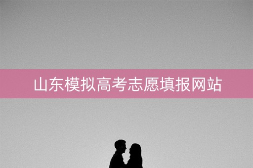 山东模拟高考志愿填报网站 山东模拟高考志愿填报网站