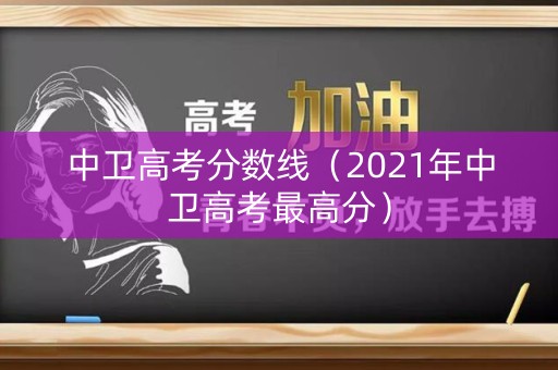 中卫高考分数线（2021年中卫高考最高分）