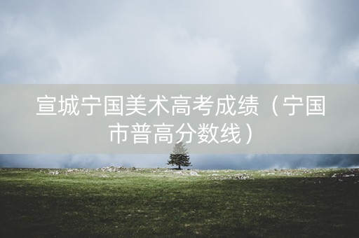宣城宁国美术高考成绩（宁国市普高分数线）