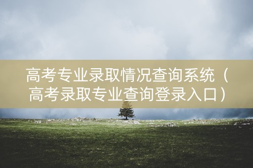 高考专业录取情况查询系统（高考录取专业查询登录入口）