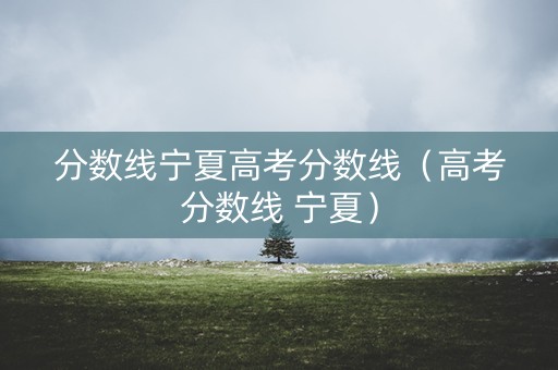 分数线宁夏高考分数线（高考分数线 宁夏）