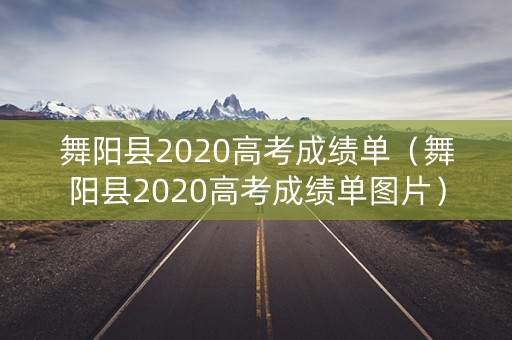 舞阳县2020高考成绩单（舞阳县2020高考成绩单图片）