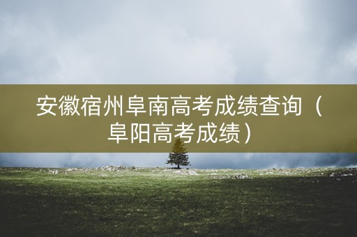 安徽宿州阜南高考成绩查询（阜阳高考成绩）