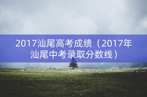 2017汕尾高考成绩（2017年汕尾中考录取分数线）