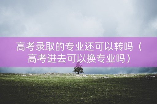 高考录取的专业还可以转吗（高考进去可以换专业吗）