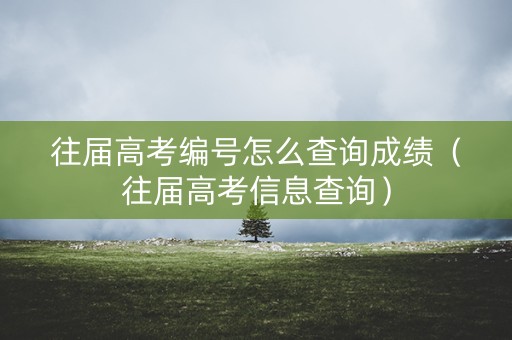 往届高考编号怎么查询成绩（往届高考信息查询）