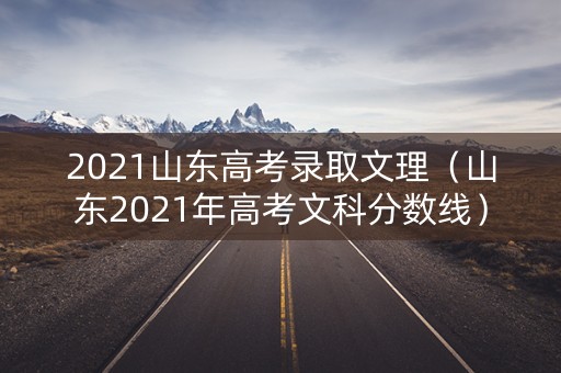2021山东高考录取文理（山东2021年高考文科分数线）