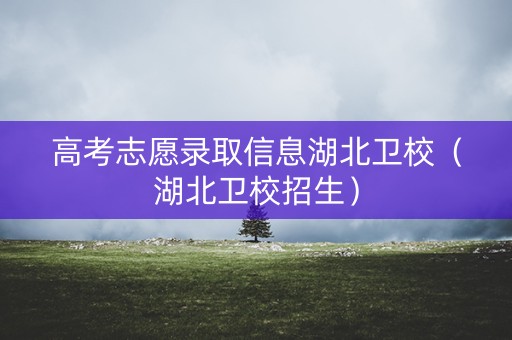 高考志愿录取信息湖北卫校（湖北卫校招生）