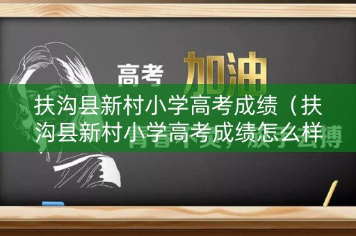 扶沟县新村小学高考成绩（扶沟县新村小学高考成绩怎么样）
