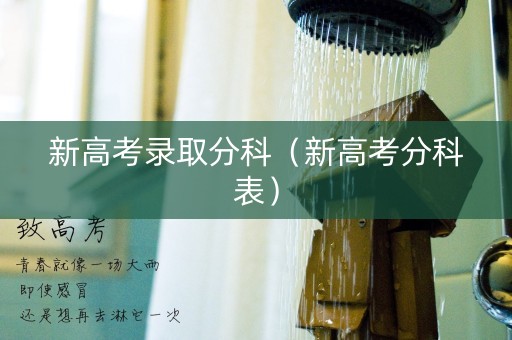 新高考录取分科（新高考分科表）