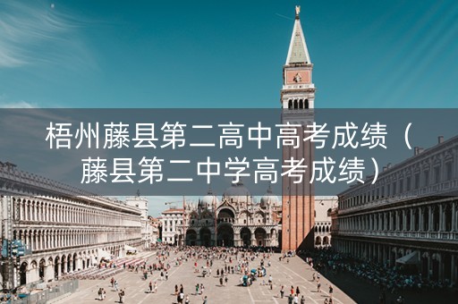 梧州藤县第二高中高考成绩（藤县第二中学高考成绩）