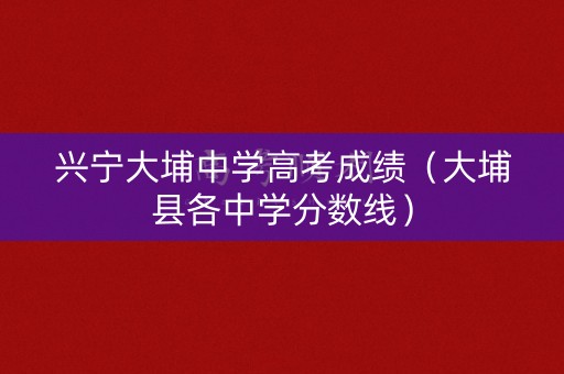 兴宁大埔中学高考成绩（大埔县各中学分数线）