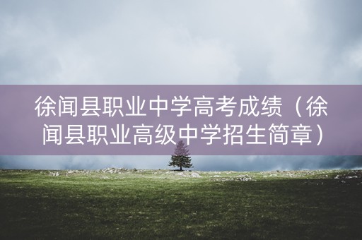 徐闻县职业中学高考成绩（徐闻县职业高级中学招生简章）