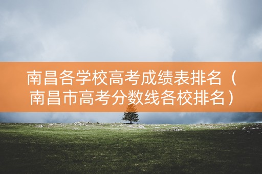 南昌各学校高考成绩表排名（南昌市高考分数线各校排名）