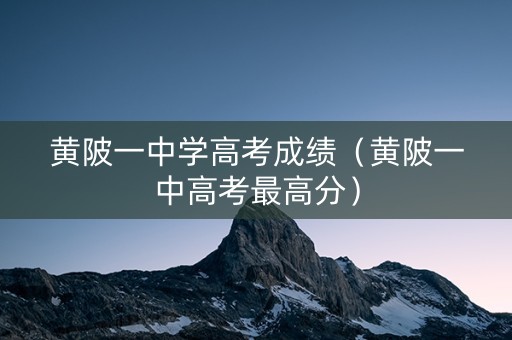黄陂一中学高考成绩（黄陂一中高考最高分）