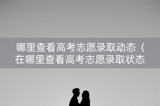 哪里查看高考志愿录取动态（在哪里查看高考志愿录取状态）