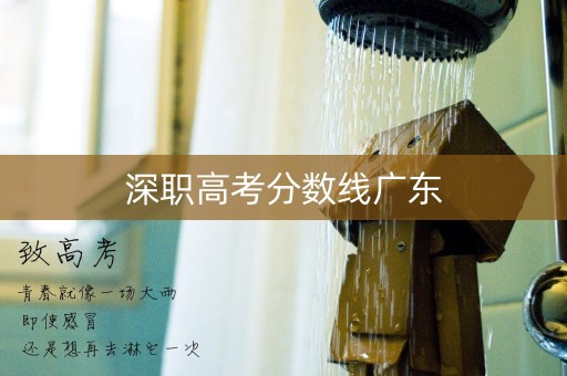 深职高考分数线广东