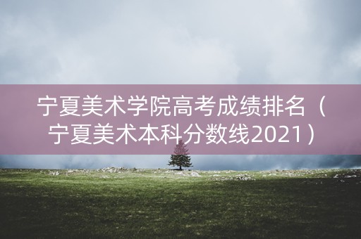 宁夏美术学院高考成绩排名（宁夏美术本科分数线2021）