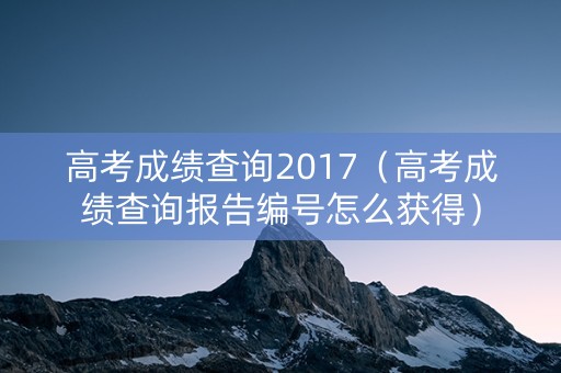 高考成绩查询2017（高考成绩查询报告编号怎么获得）