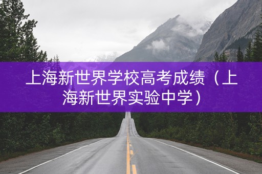 上海新世界学校高考成绩（上海新世界实验中学）