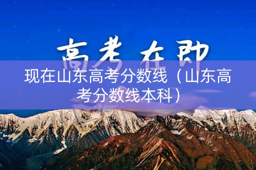 现在山东高考分数线（山东高考分数线本科）