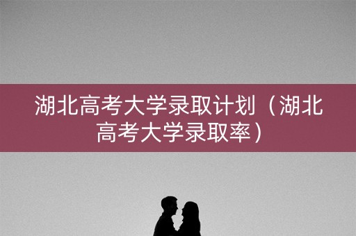 湖北高考大学录取计划（湖北高考大学录取率）