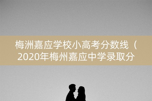 梅洲嘉应学校小高考分数线（2020年梅州嘉应中学录取分数）