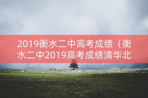 2019衡水二中高考成绩（衡水二中2019高考成绩清华北大录取人数）