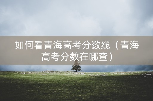 如何看青海高考分数线（青海高考分数在哪查）