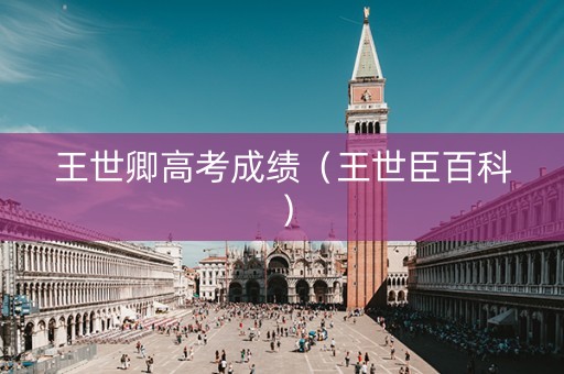 王世卿高考成绩（王世臣百科）