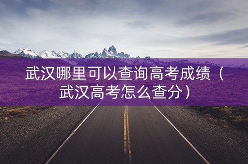 武汉哪里可以查询高考成绩（武汉高考怎么查分）