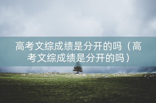 高考文综成绩是分开的吗（高考文综成绩是分开的吗）
